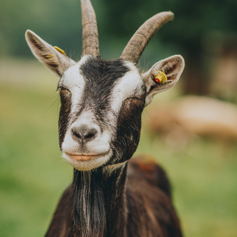 Shooting en extérieur